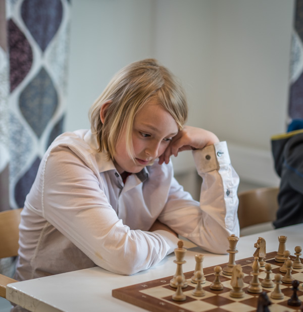 "Rodins ställning" (Foto: Lars OA Hedlund)