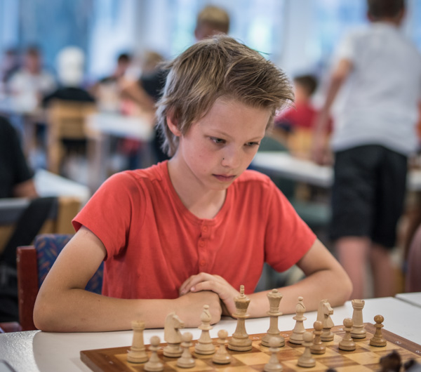Julian Andersson (Lars OA Hedlund)