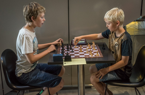 "Blixtparti" (Foto: Lars OA Hedlund)