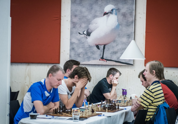 "Fågelperspektiv" (Foto: Lars OA Hedlund)