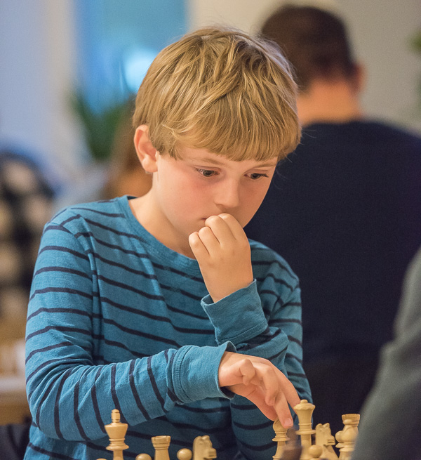 "Med tvekan" (Foto: Lars OA Hedlund)