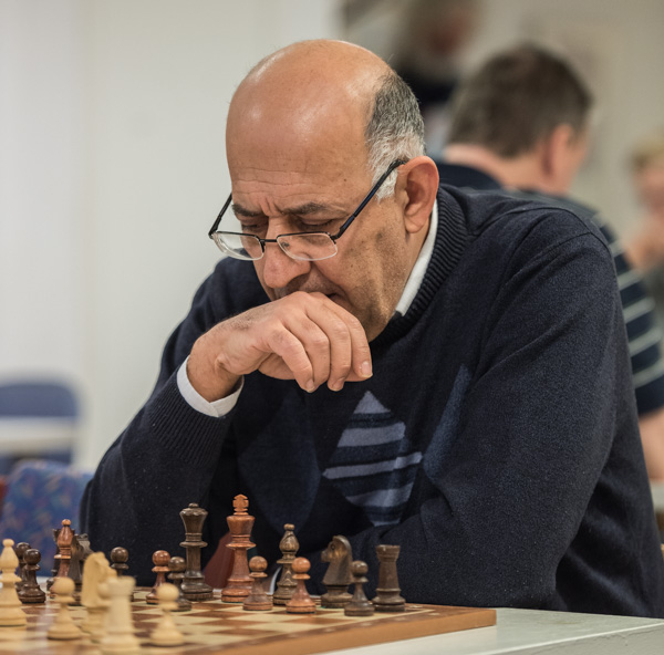 17. Fargalla Mayrany (Foto: Lars OA Hedlund)