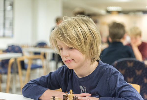 Foto: Lars OA Hedlund