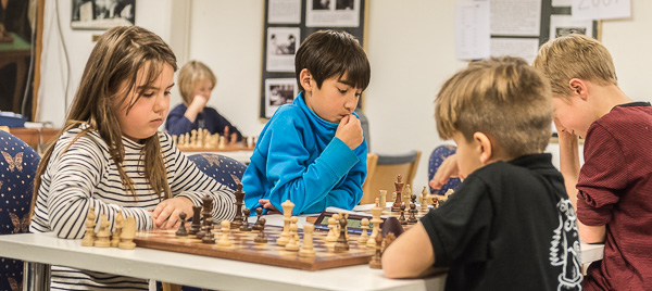 Foto: Lars OA Hedlund
