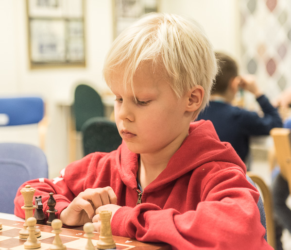 Foto: Lars OA Hedlund