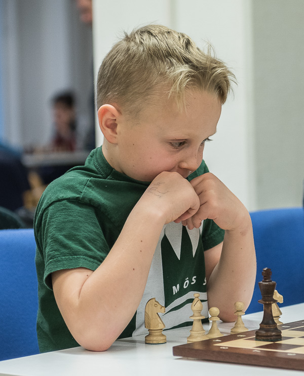 Foto: Lars OA Hedlund