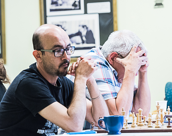 "Handgripligt" (Foto: Lars OA Hedlund)