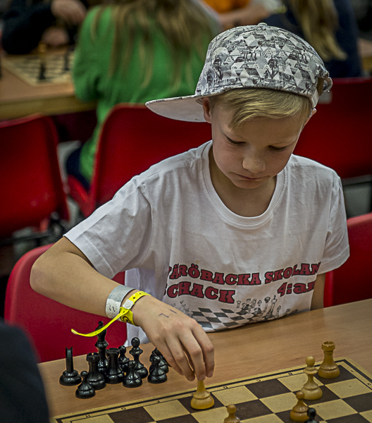 Schackfyran-76